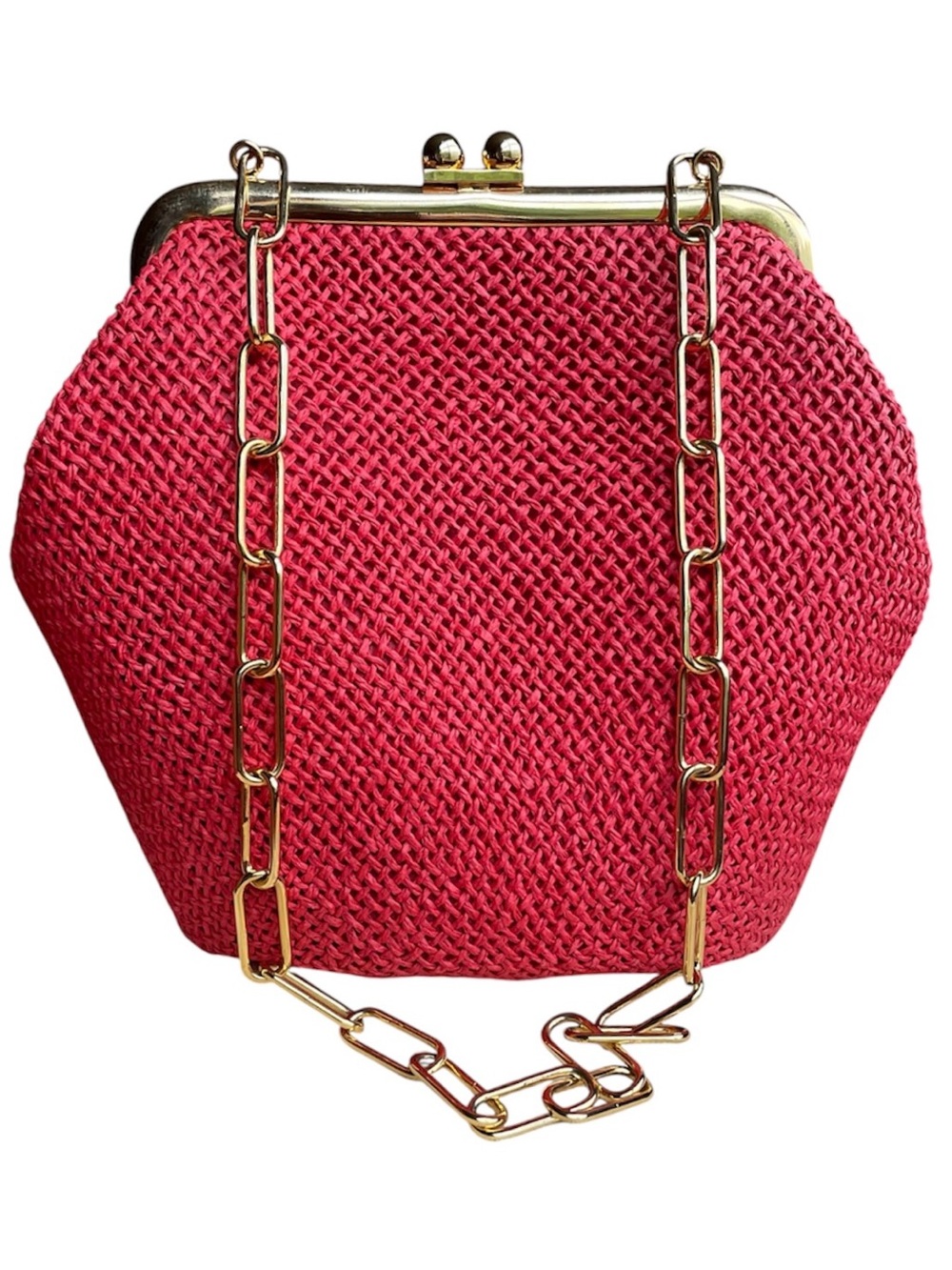 Rodo Coral Woven Minaudière with Gold Chain Strap.